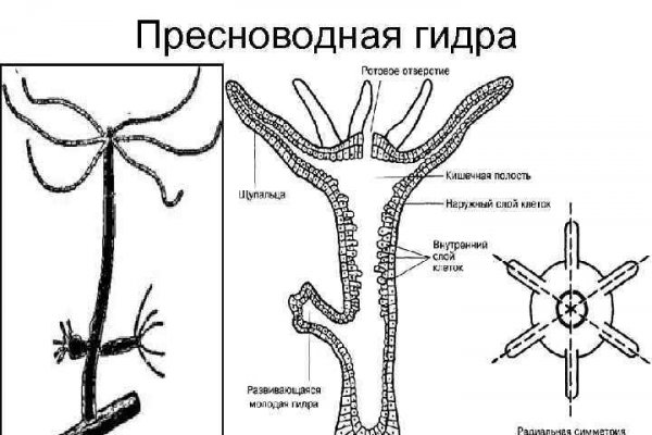 Блэк спрут украинский