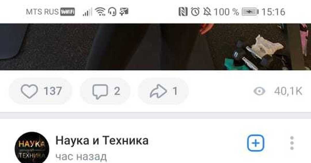 Блэк спрут поддержка